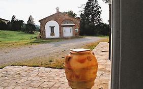Opera D'Oro